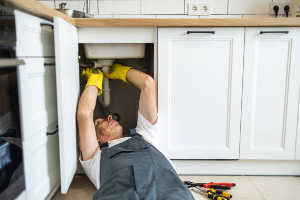 Best Clogged Drain Plumber  in Toulon, IL